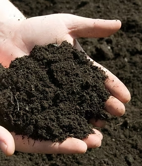 Чорнозем — родючий ґрунт